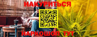 трава Сланцы