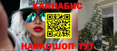 трава Сланцы
