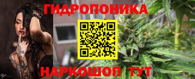 трава Сланцы
