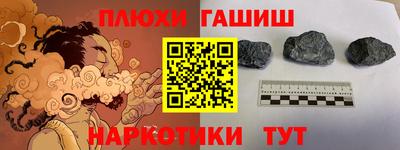 гашик Славгород