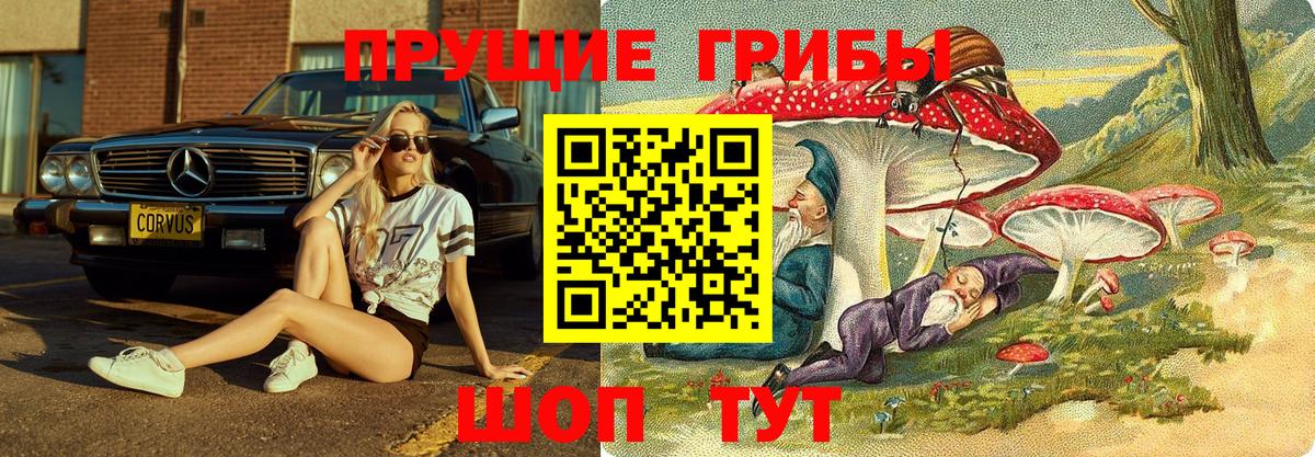Псилоцибиновые грибы Psilocybine cubensis Павловский Посад