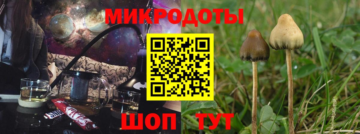 Псилоцибиновые грибы Magic Shrooms  Вход с VPN  Павловский Посад 